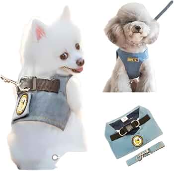 51a3+Tf9xXL._AC_UF350,